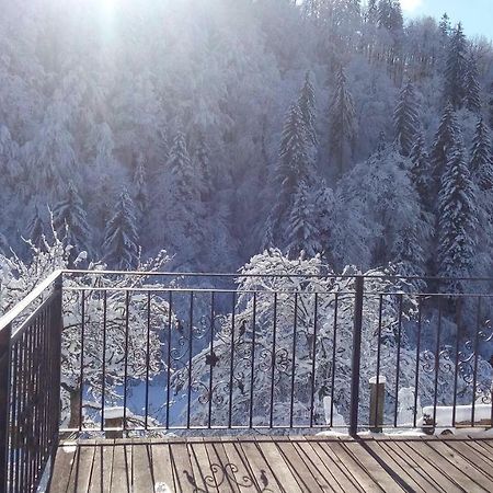 Turisticna Kmetija Weiss Miklavz pri Taboru Exterior foto