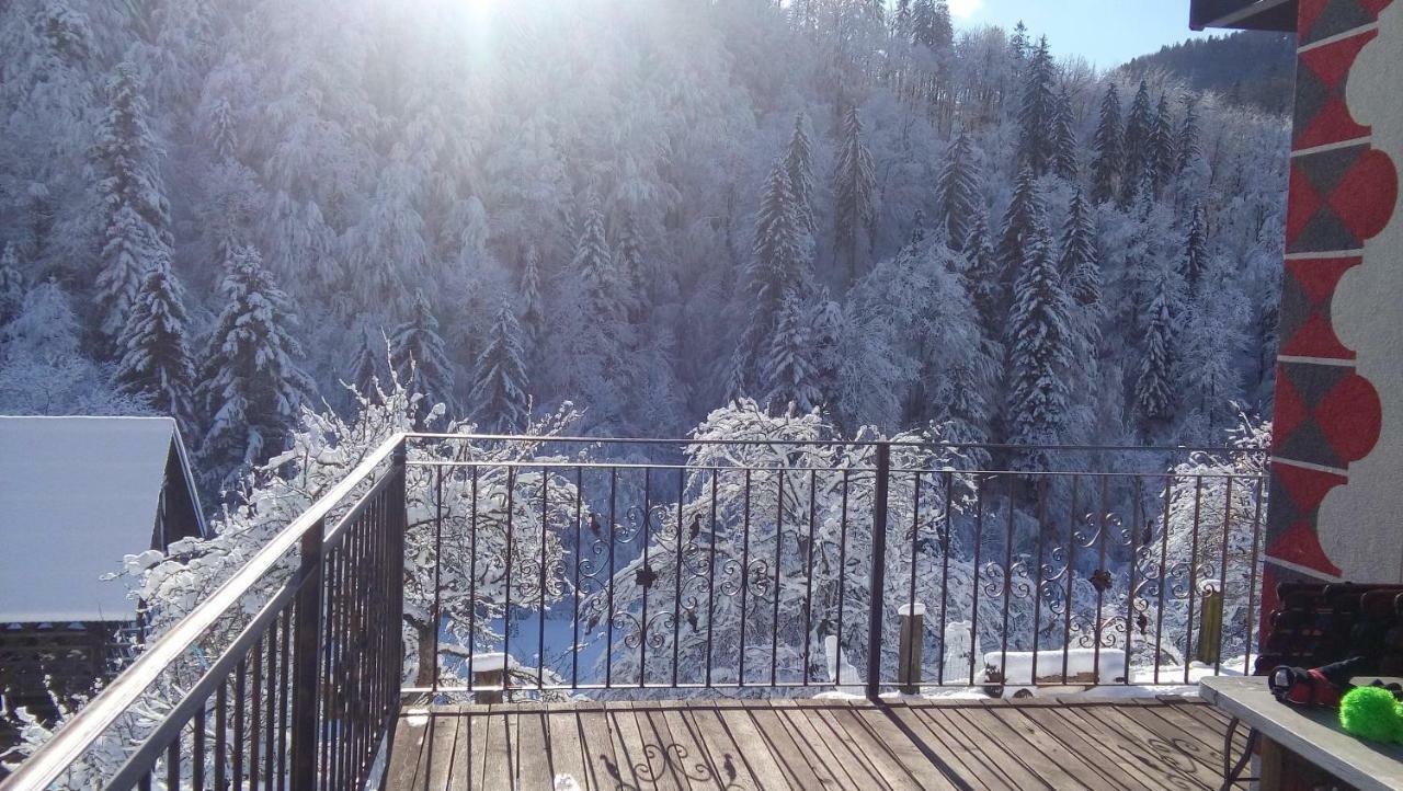 Turisticna Kmetija Weiss Miklavz pri Taboru Exterior foto