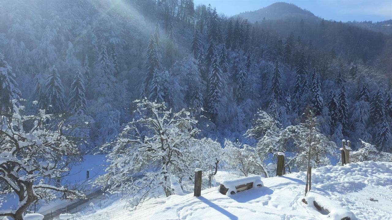 Turisticna Kmetija Weiss Miklavz pri Taboru Exterior foto