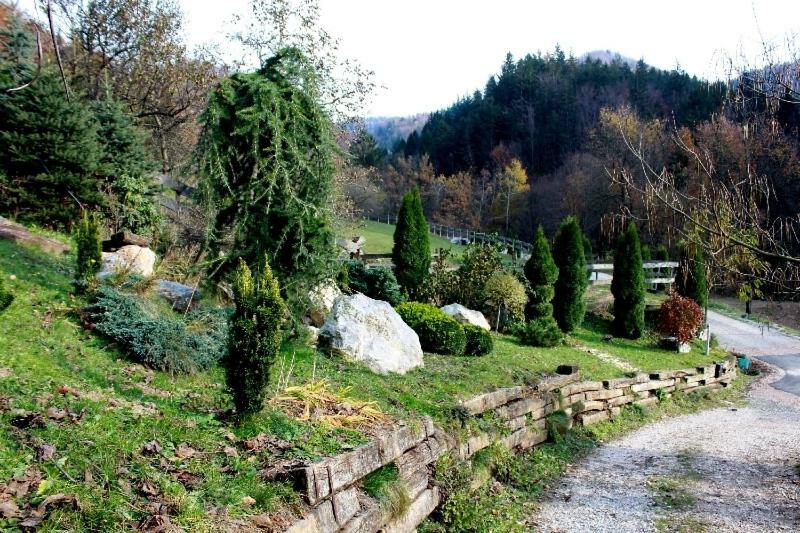 Turisticna Kmetija Weiss Miklavz pri Taboru Exterior foto